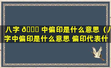 八字 🐝 中偏印是什么意思（八字中偏印是什么意思 偏印代表什么）